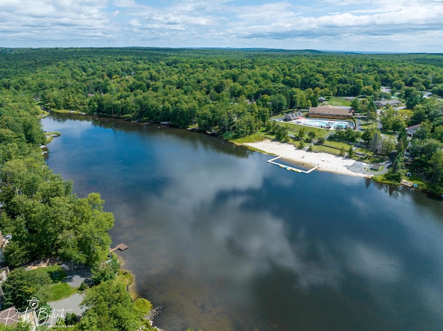 8066 Red Squirrel Dr, Tobyhanna, PA 18466 - drone / aerial view with a water view and a forest view