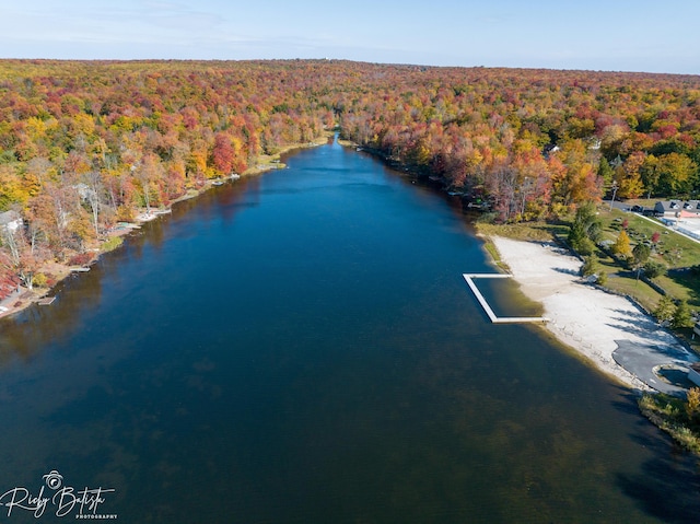 8066 Red Squirrel Dr, Tobyhanna, PA 18466 - birds eye view of property featuring a water view and a forest view