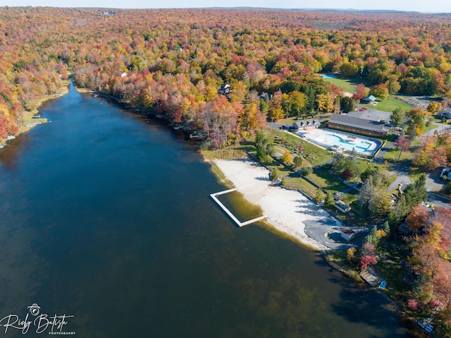 8066 Red Squirrel Dr, Tobyhanna, PA 18466 - birds eye view of property featuring a water view and a forest view