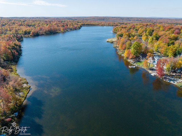 8066 Red Squirrel Dr, Tobyhanna, PA 18466 - drone / aerial view with a water view and a view of trees