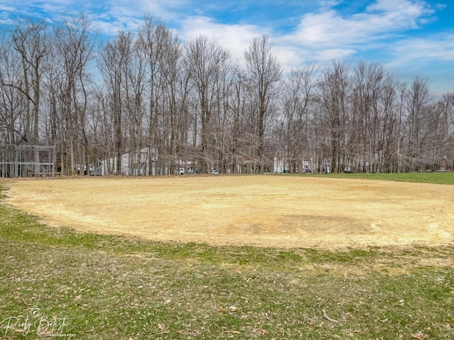 8066 Red Squirrel Dr, Tobyhanna, PA 18466 - view of yard