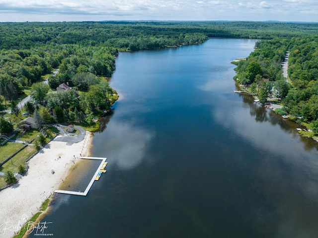 8066 Red Squirrel Dr, Tobyhanna, PA 18466 - aerial view featuring a water view and a forest view
