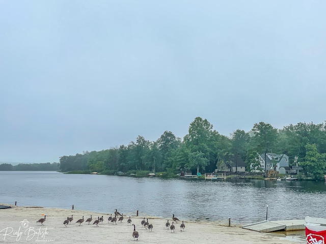 8066 Red Squirrel Dr, Tobyhanna, PA 18466 - water view with a boat dock
