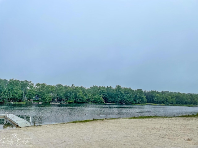 8066 Red Squirrel Dr, Tobyhanna, PA 18466 - water view with a forest view