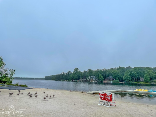 8066 Red Squirrel Dr, Tobyhanna, PA 18466 - view of water feature