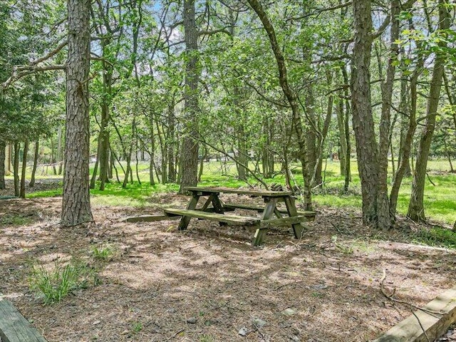 26 Nathan Way, Albrightsville, PA 18210 - photo 39