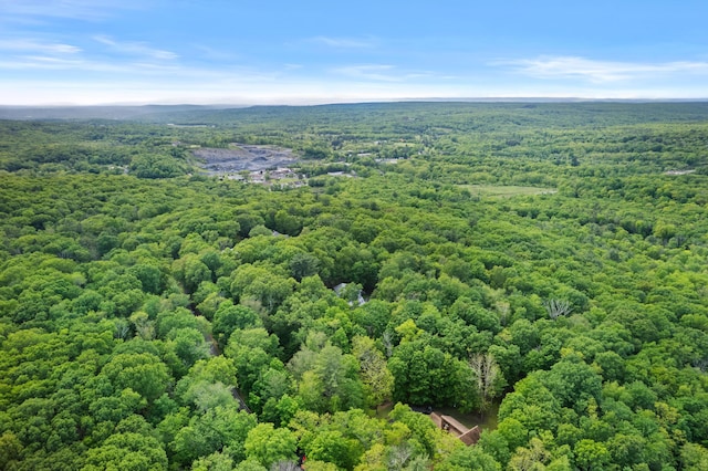 14 Ace Ln, East Stroudsburg, PA 18301 - bird's eye view of a forest