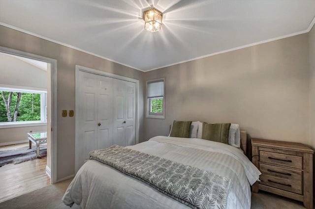 14 Ace Ln, East Stroudsburg, PA 18301 - bedroom with multiple windows, ornamental molding, a closet, and baseboards