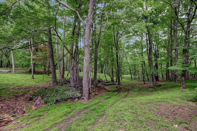 14 Ace Ln, East Stroudsburg, PA 18301 - view of grassy yard featuring a view of trees