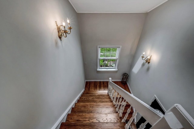 14 Ace Ln, East Stroudsburg, PA 18301 - stairway with wood finished floors, ornamental molding, and baseboards