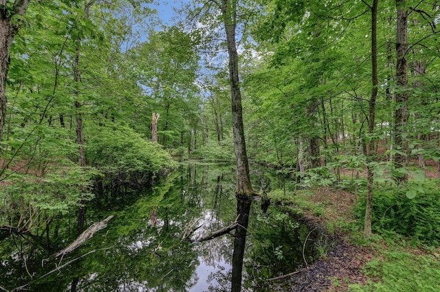 14 Ace Ln, East Stroudsburg, PA 18301 - view of tree filled area