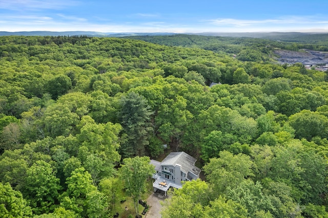 14 Ace Ln, East Stroudsburg, PA 18301 - bird's eye view of a heavily wooded area
