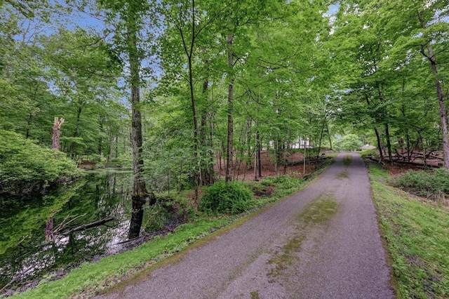 14 Ace Ln, East Stroudsburg, PA 18301 - view of street featuring a wooded view