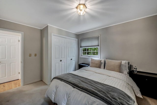 14 Ace Ln, East Stroudsburg, PA 18301 - bedroom with ornamental molding, a closet, carpet floors, and baseboards