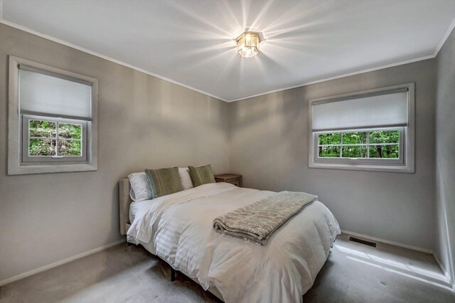 14 Ace Ln, East Stroudsburg, PA 18301 - carpeted bedroom featuring baseboards and ornamental molding
