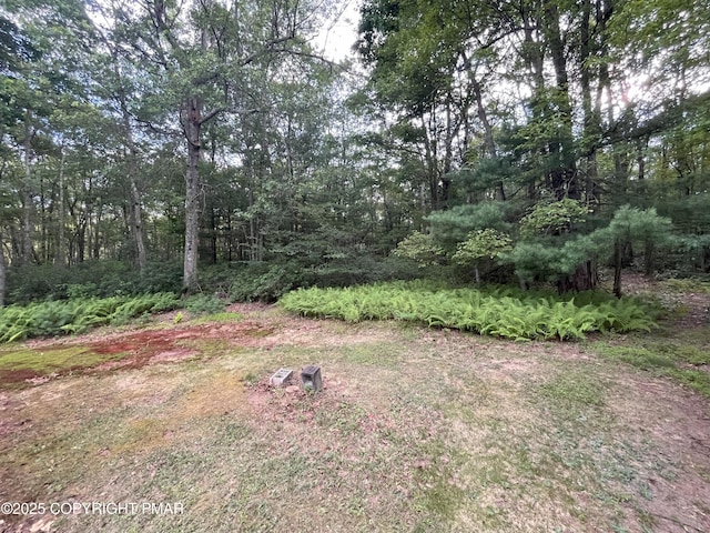 22 Short Rd, Jim Thorpe, PA 18229 - photo 39
