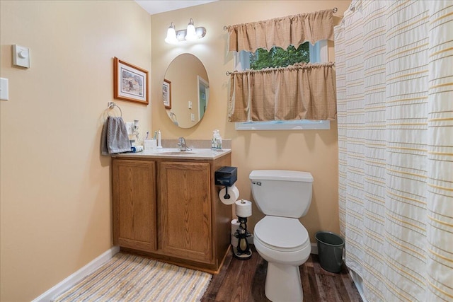 71 Pope Ln, Albrightsville, PA 18210 - bathroom featuring vanity, wood finished floors, and a shower with curtain