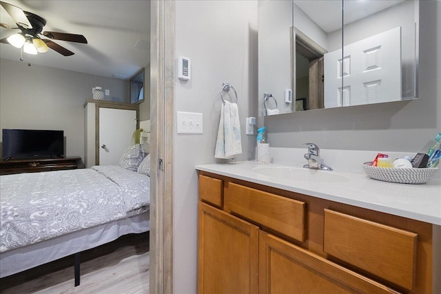 71 Pope Ln, Albrightsville, PA 18210 - bathroom featuring vanity, a ceiling fan, and wood finished floors