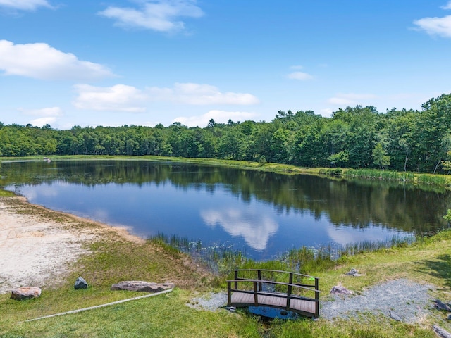 175 Winding Way, Albrightsville, PA 18210 - photo 48