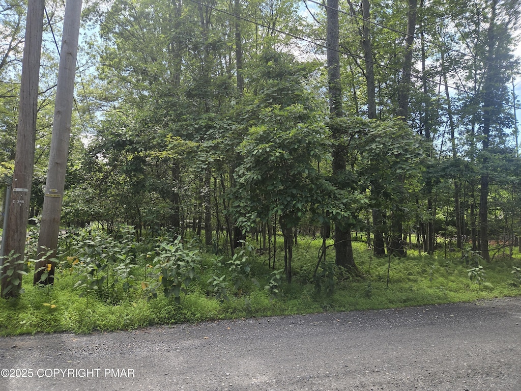 L-30-36 Elmhurst Rd, East Stroudsburg, PA 18302 - photo 4