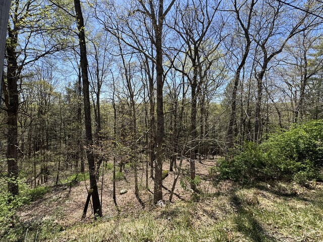 LOTS1992 Manchester Dr, Bushkill, PA 18324