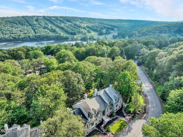 34 Mountainwoods Dr, Lake Harmony, PA 18624 - photo 52