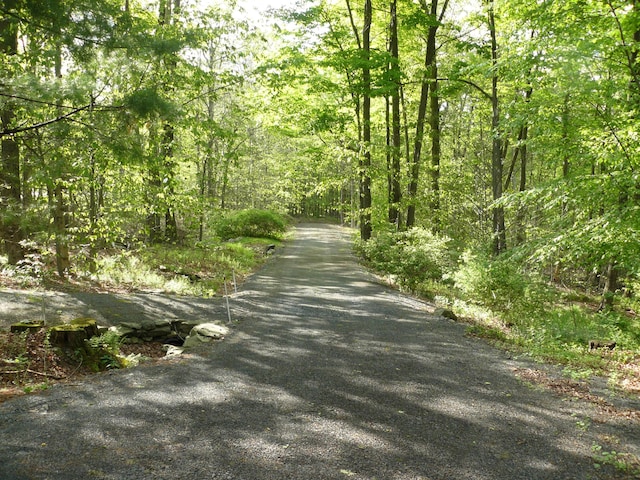 1006 Mill Creek Rd, Newfoundland, PA 18445 - view of road with a wooded view