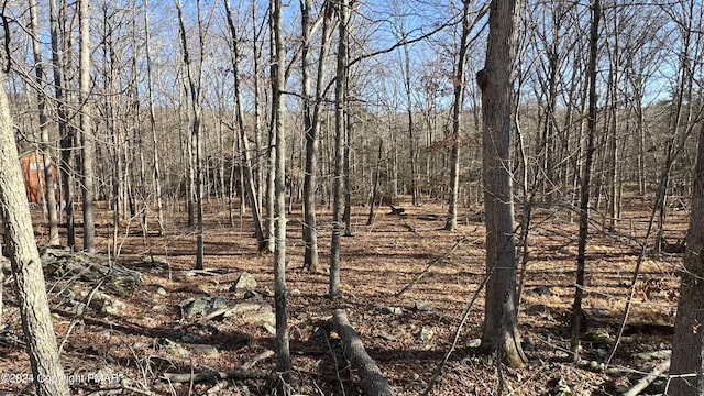 Saunders Ct, Bushkill PA, 18324 land for sale