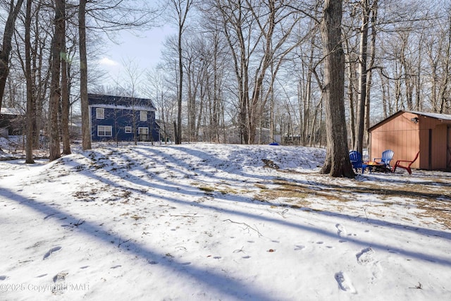 yard covered in snow with an outbuilding and a detached garage