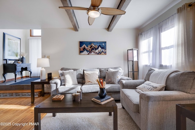 living room with ceiling fan, wood finished floors, and beam ceiling