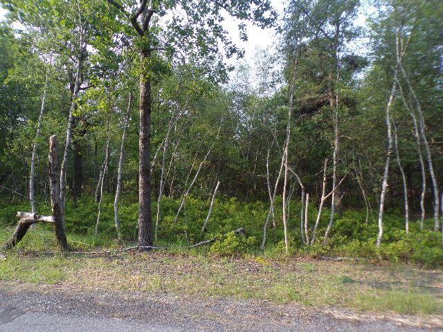 LOT4403 Claremont Dr, Albrightsville, PA 18210 - photo 2