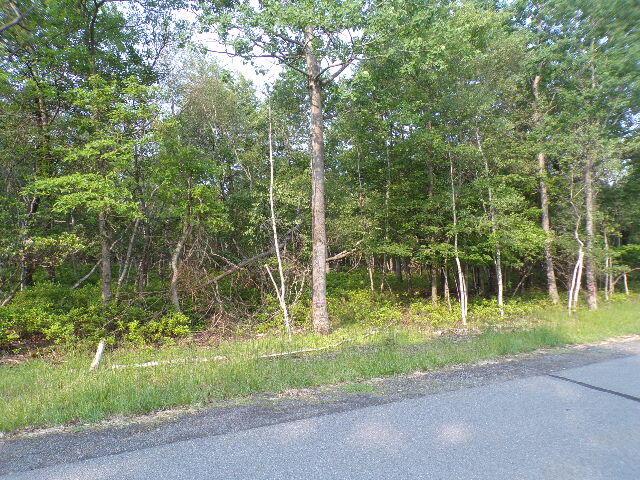 LOT4403 Claremont Dr, Albrightsville, PA 18210 - photo 1