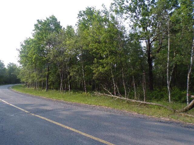 LOT4403 Claremont Dr, Albrightsville, PA 18210 - photo 4