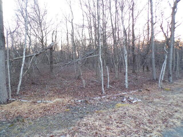 Listing photo 3 for LOT4403 Claremont Dr, Albrightsville PA 18210