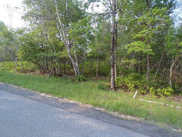 LOT4403 Claremont Dr, Albrightsville, PA 18210 - photo 3