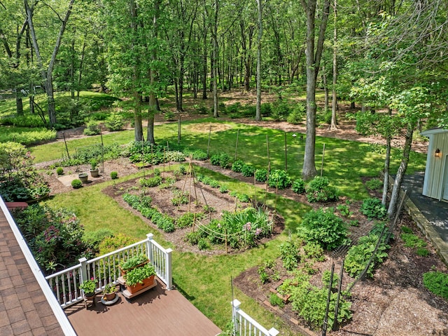 450 Bear Creek Lake Dr, Jim Thorpe, PA 18229 - view of grassy yard with a garden and a deck