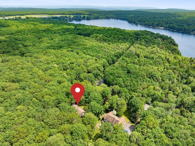 450 Bear Creek Lake Dr, Jim Thorpe, PA 18229 - drone / aerial view of a heavily wooded area and a nearby body of water