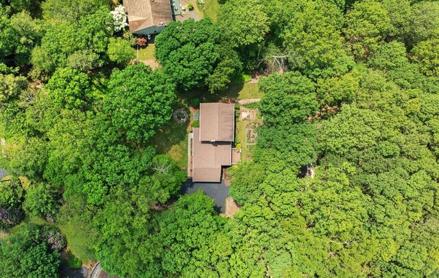 450 Bear Creek Lake Dr, Jim Thorpe, PA 18229 - aerial view of property's location