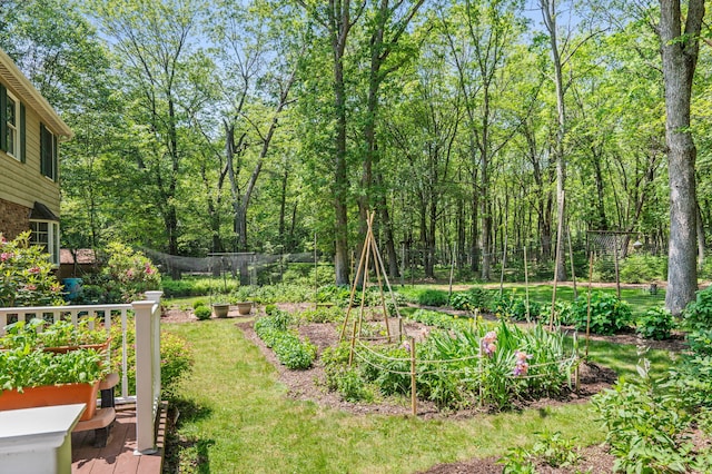 450 Bear Creek Lake Dr, Jim Thorpe, PA 18229 - view of yard featuring a garden