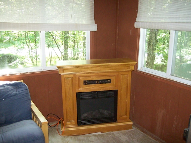 2112 Yorkshire Ct, Bushkill, PA 18324 - detailed view of a glass covered fireplace
