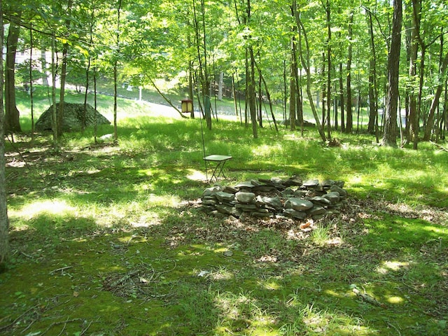 2112 Yorkshire Ct, Bushkill, PA 18324 - view of yard