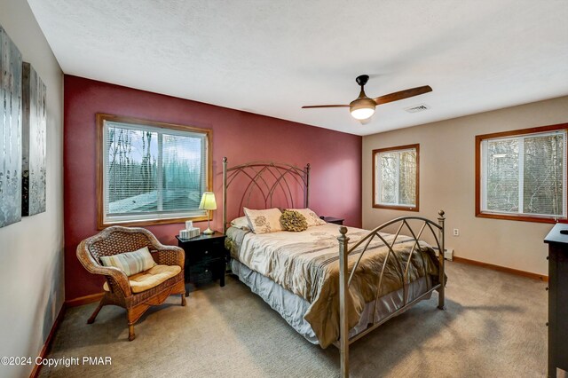 275 Tanglewood Dr, Pocono Pines, PA 18350 - photo 39