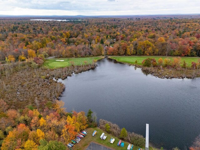 417 Roosevelt Ln, Tobyhanna, PA 18466 - photo 41