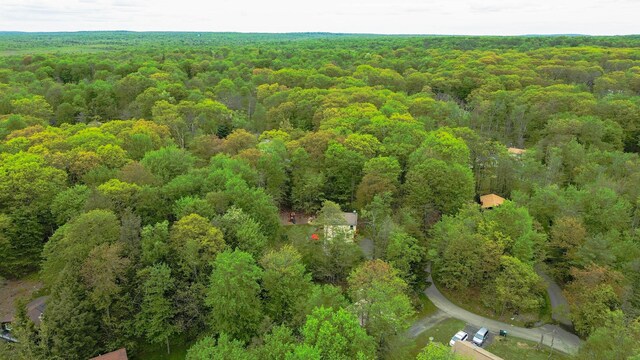 417 Roosevelt Ln, Tobyhanna, PA 18466 - photo 2