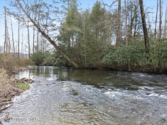 water view featuring a view of trees