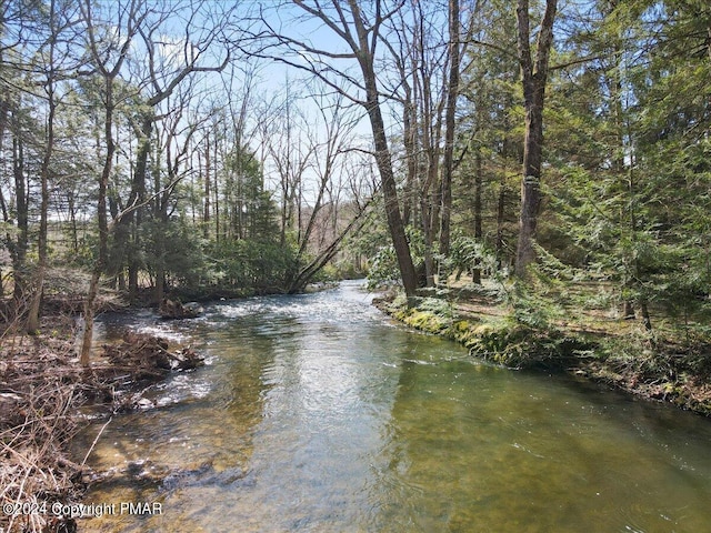 view of water feature featuring a forest view