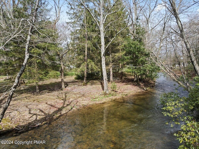 view of nature featuring a forest view