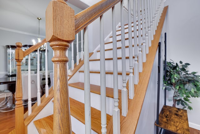 6214 Blackberry Ter, East Stroudsburg, PA 18301 - stairs featuring wood finished floors