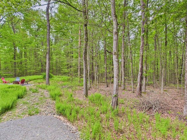 140 Boones Trl, Pocono Pines, PA 18350 - view of yard with an outdoor fire pit and a forest view