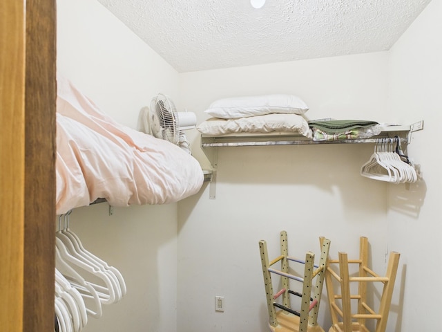 140 Boones Trl, Pocono Pines, PA 18350 - view of spacious closet